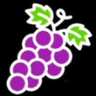WineFrog - For Wine Lovers