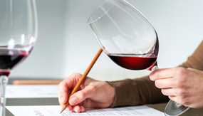 How to Take Wine Tasting Notes