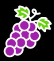 WineFrog - For Wine Lovers